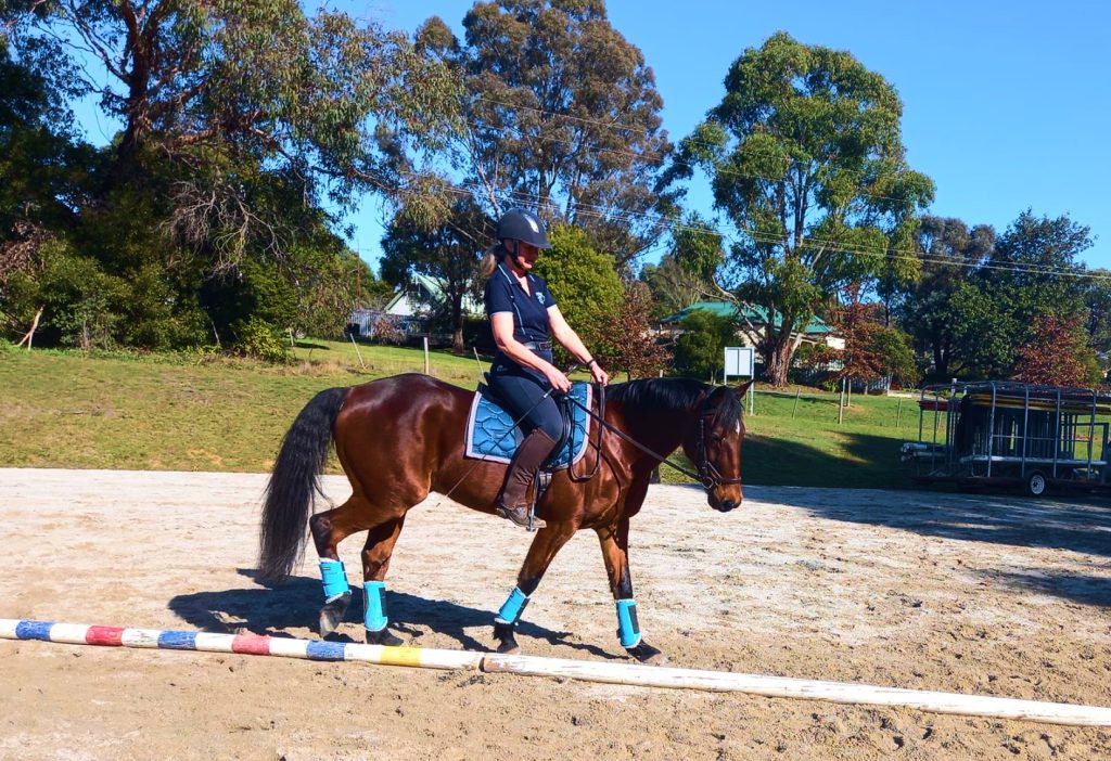 A discipline focused on the rider’s ability to guide the horse through a series of predetermined movements, demonstrating control and harmony between horse and rider.