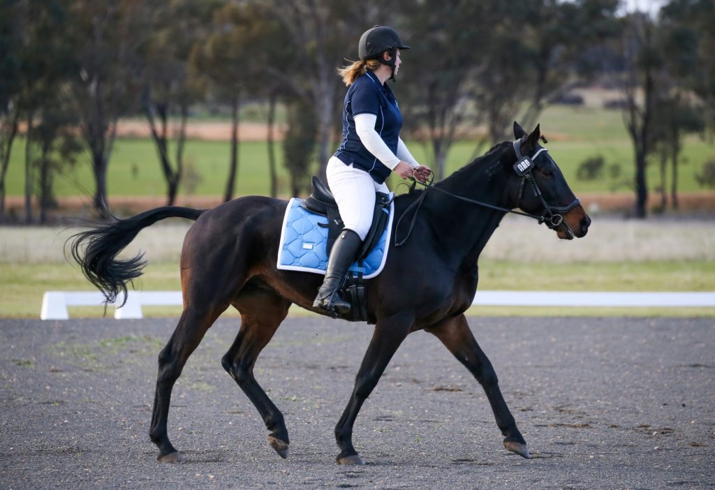 A less formal event where riders follow a set course through varied terrain, testing horsemanship and navigational skills.