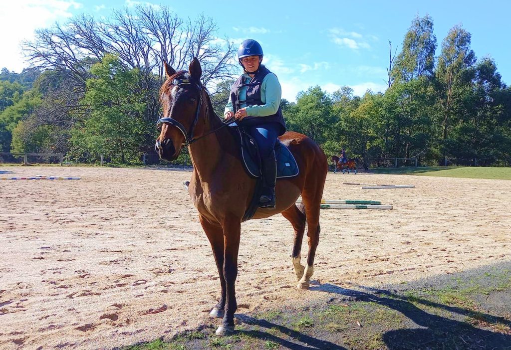 A discipline where horses and riders are judged on appearance, behaviour, and skill, with categories for led and ridden classes